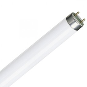TUB FLUORESCENT T8 