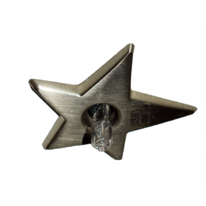 SPOT INCASTRAT BEC G4 LED 12V STEA 557 